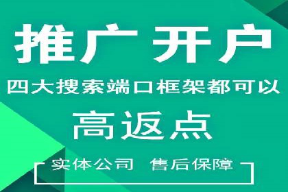 实战案例分析：如何通过竞价推广公司提升转化率